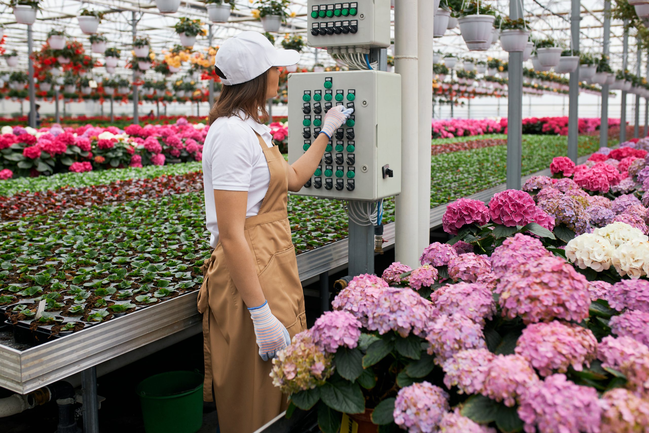 Garden Awareness