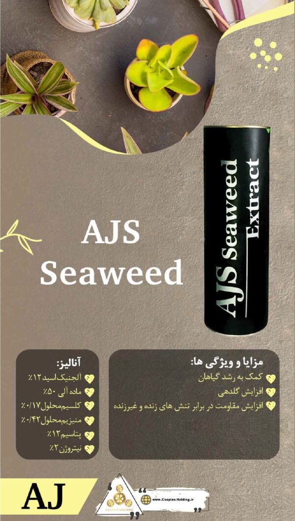 (AJS Seaweed): جلبک پودری استرالیایی٬ ۲۴٪ آلجنیک اسید